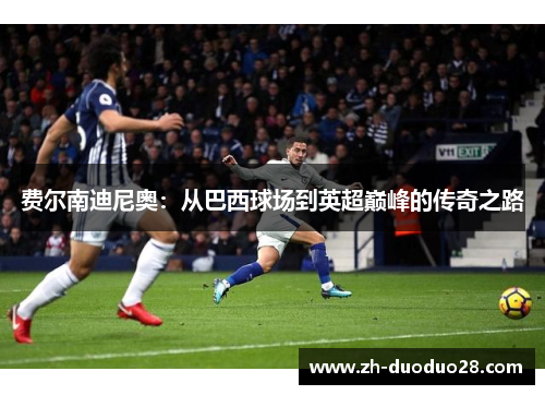 费尔南迪尼奥:从巴西球场到英超巅峰的传奇之路 费尔南迪尼奥:从巴西球场到英超巅峰的传奇之路