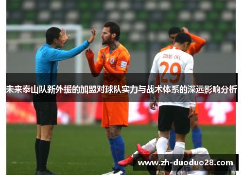 未来泰山队新外援的加盟对球队实力与战术体系的深远影响分析 未来泰山队新外援的加盟对球队实力与战术体系的深远影响分析
