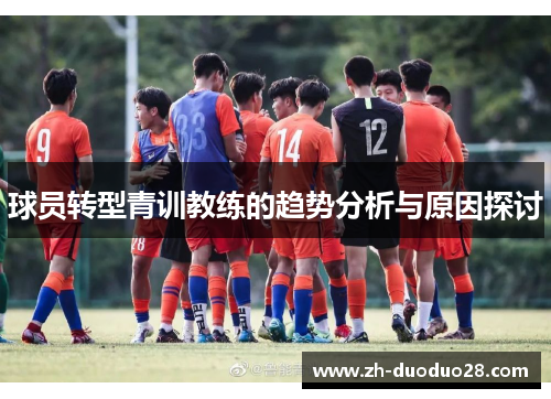 球员转型青训教练的趋势分析与原因探讨