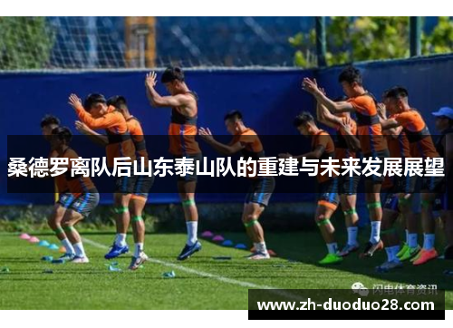桑德罗离队后山东泰山队的重建与未来发展展望 桑德罗离队后山东泰山队的重建与未来发展展望