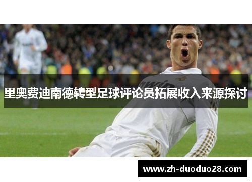 里奥费迪南德转型足球评论员拓展收入来源探讨