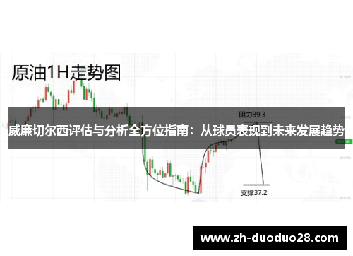 威廉切尔西评估与分析全方位指南：从球员表现到未来发展趋势