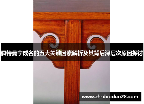 佩特曼宁成名的五大关键因素解析及其背后深层次原因探讨 佩特曼宁成名的五大关键因素解析及其背后深层次原因探讨