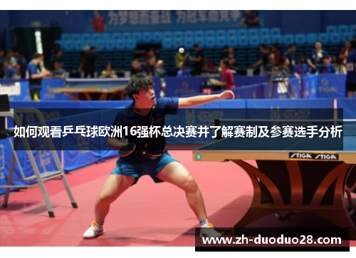如何观看乒乓球欧洲16强杯总决赛并了解赛制及参赛选手分析 如何观看乒乓球欧洲16强杯总决赛并了解赛制及参赛选手分析